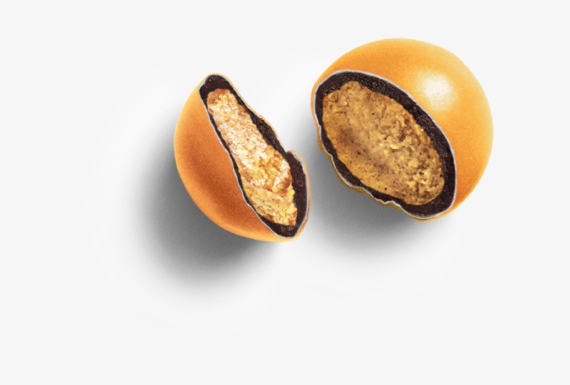 Chestnut, transparent png #2318657