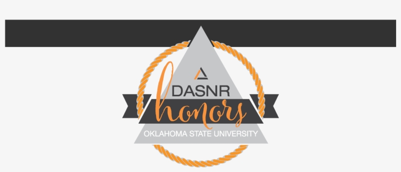 2017 Dasnr Champions - Triangle, transparent png #2318991