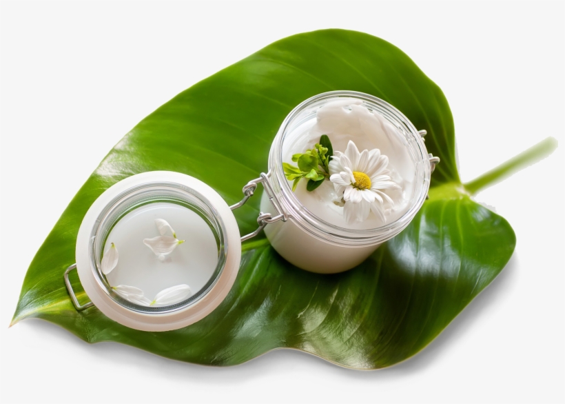 The Line Is Fully Compatible With Any Age And Brings - Halal Ingredients In Cosmetics, transparent png #2319828