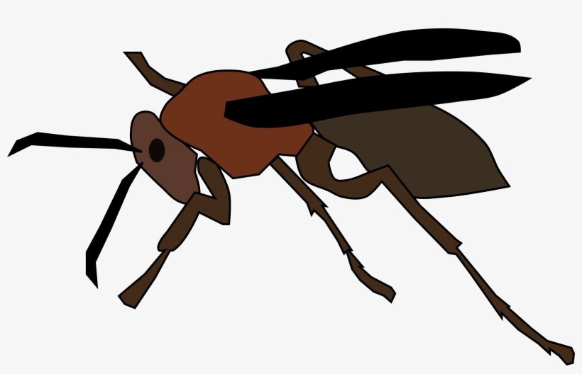Big Image - Cartoon Paper Wasp, transparent png #2319977
