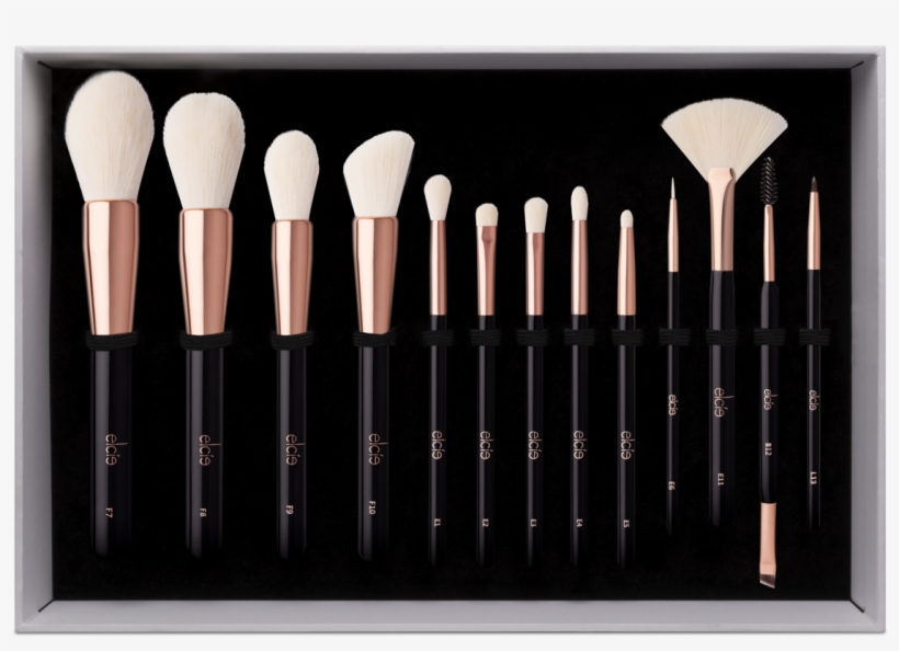 Complete Brush Collection - Cosmetics, transparent png #2320047