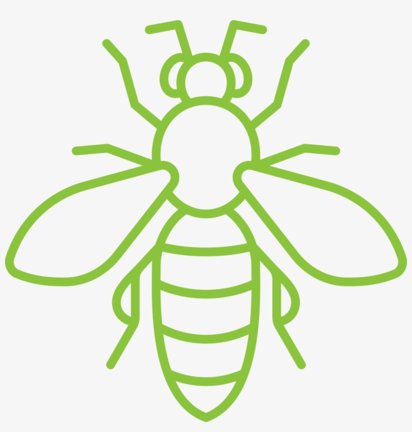 Alta Wasp Icon - Bee, transparent png #2320187