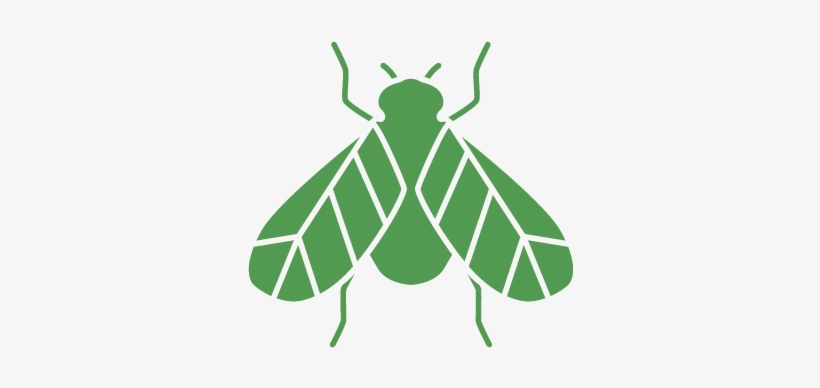 Pest Control For Wasps - Pest Control & Exterminator Of Orange County, transparent png #2320347