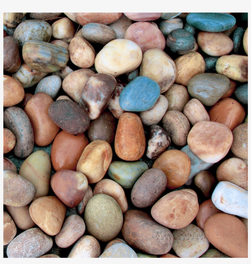 Diversity - Art, transparent png #2320821