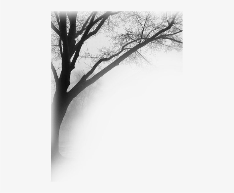 Tree Sticker - Girl Sitting Alone In Rain, transparent png #2321705