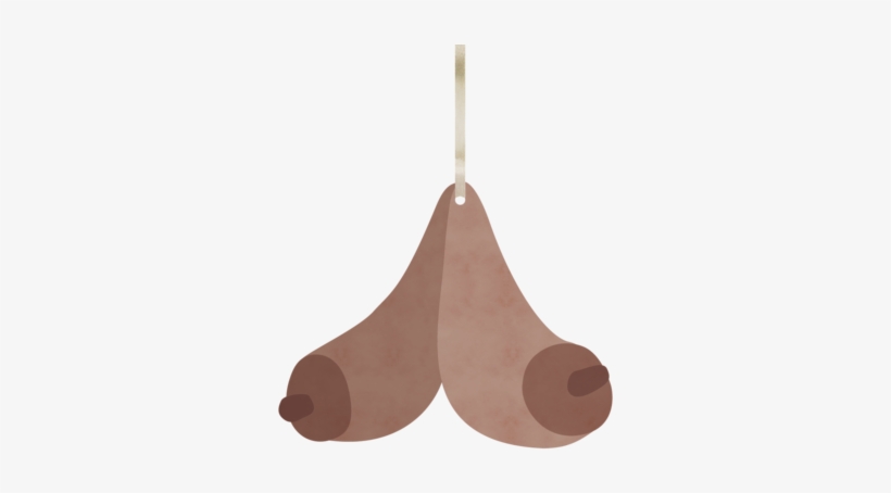 Boob - Wood, transparent png #2321895