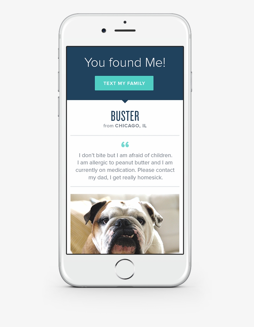 Pet Insurance - Pet, transparent png #2322438