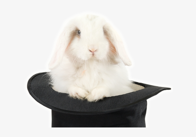 Magic Bunnies - Magician Rabbit Png, transparent png #2322836