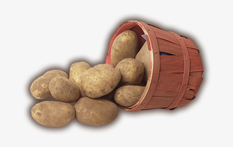 My Upcoming Memoir Frozen Dinners Contains A Chapter - Basket Of Potatoes Transparent, transparent png #2323657