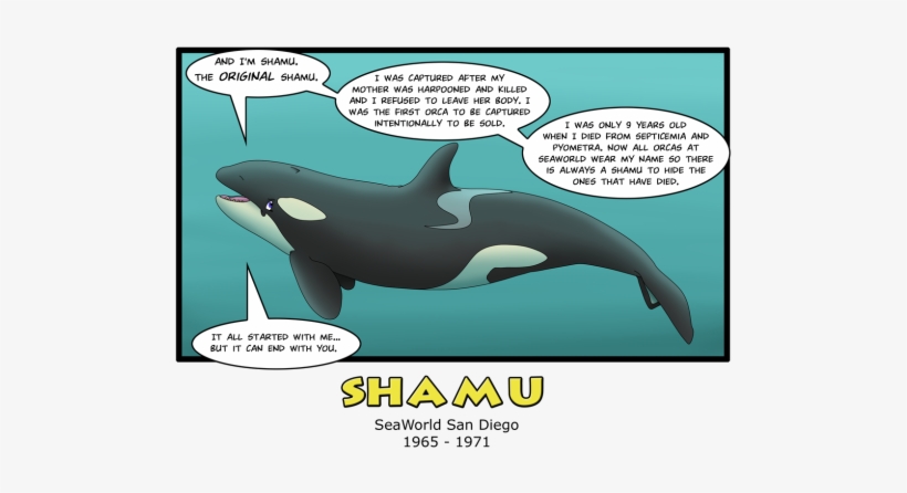 August 23rd - Sad Orcas, transparent png #2323840