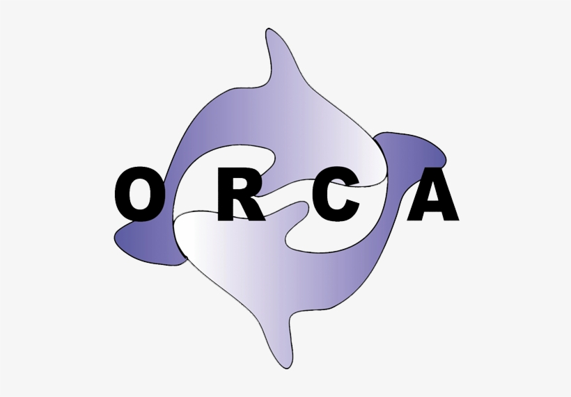 Orca - All Time Low, transparent png #2323925