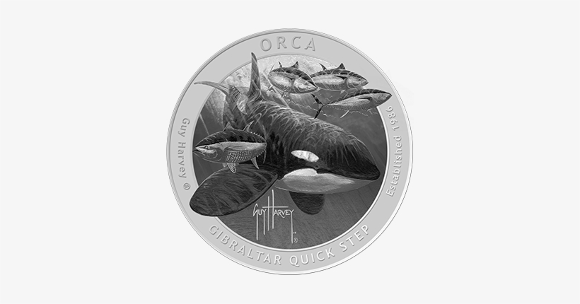 Orca Bullion - Quick-step, transparent png #2323953