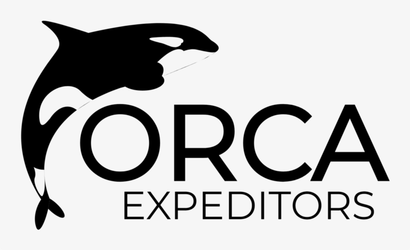 Orca Png, transparent png #2323956