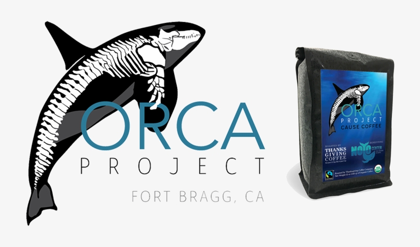 Fort Bragg, California, transparent png #2323976