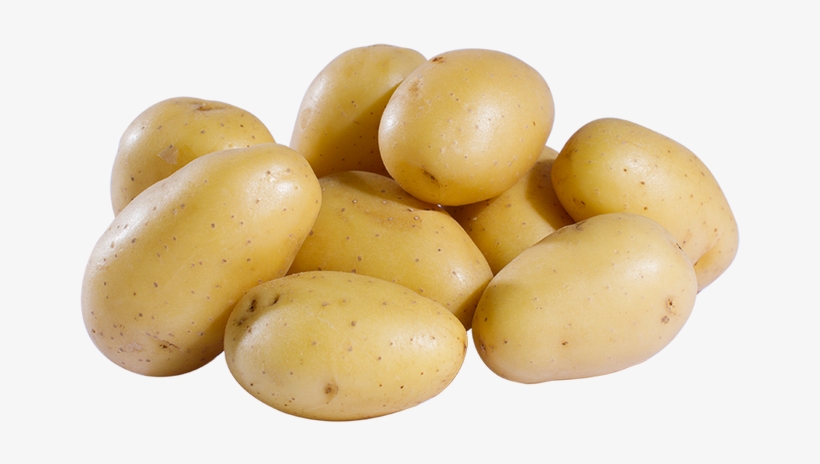 The Potato - Pomme De Terre Blanche, transparent png #2324082
