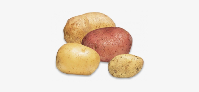 Potatoes - Roots And Tubers Vegetables, transparent png #2324166