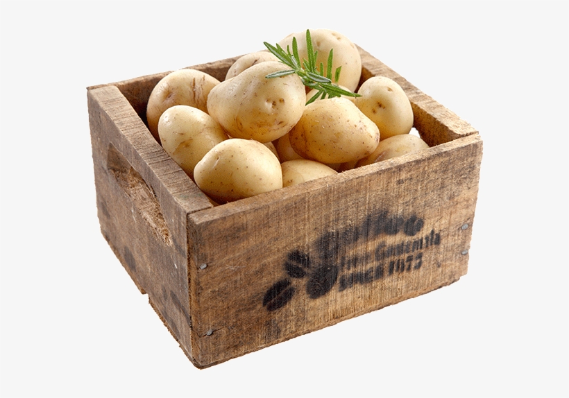 View Certified Potatoes - Russet Burbank Potato, transparent png #2324251