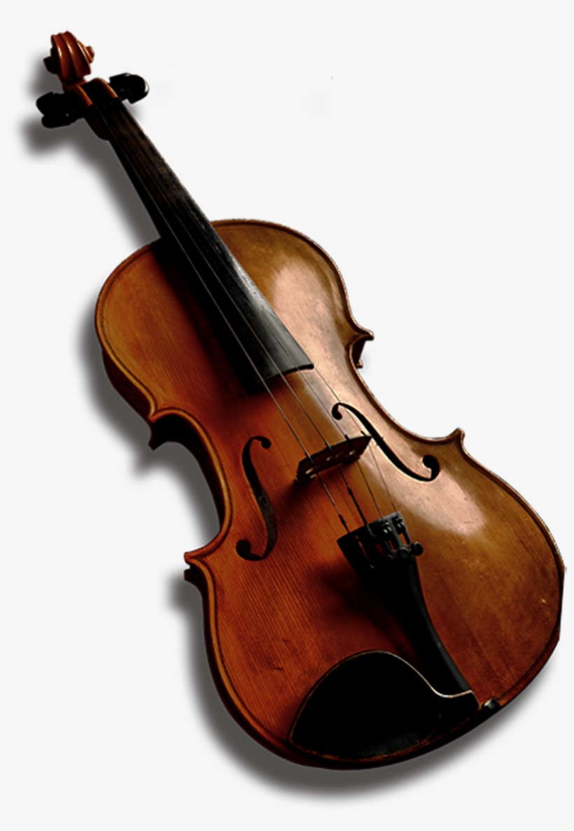 Bass Violin Viola Violone Double Bass - Violin, transparent png #2325740