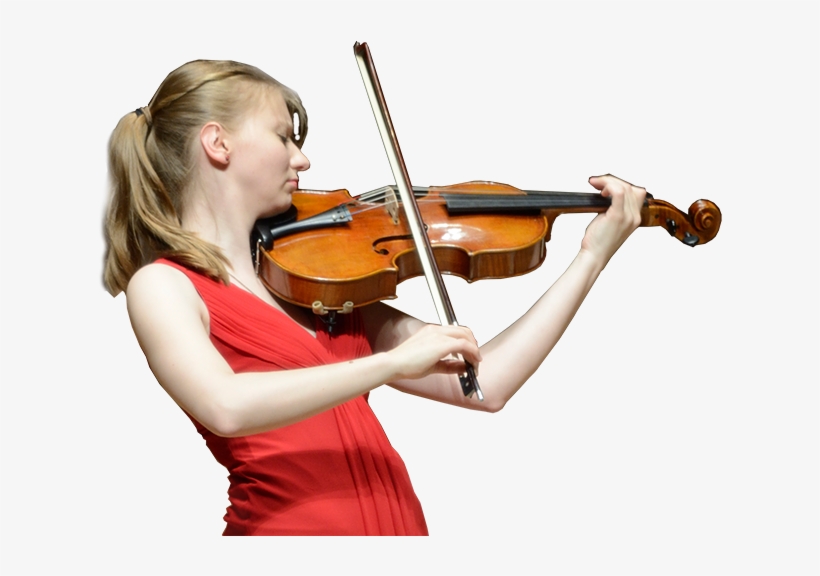 Viola, transparent png #2326178