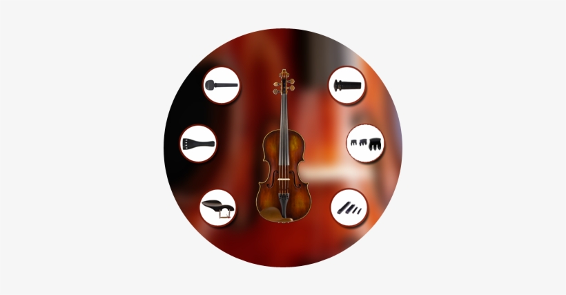 Viola Parts - Viola, transparent png #2326539