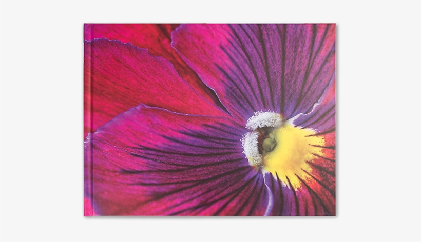 Deluxe Journal - Viola Flower - Shutterstock, transparent png #2326707