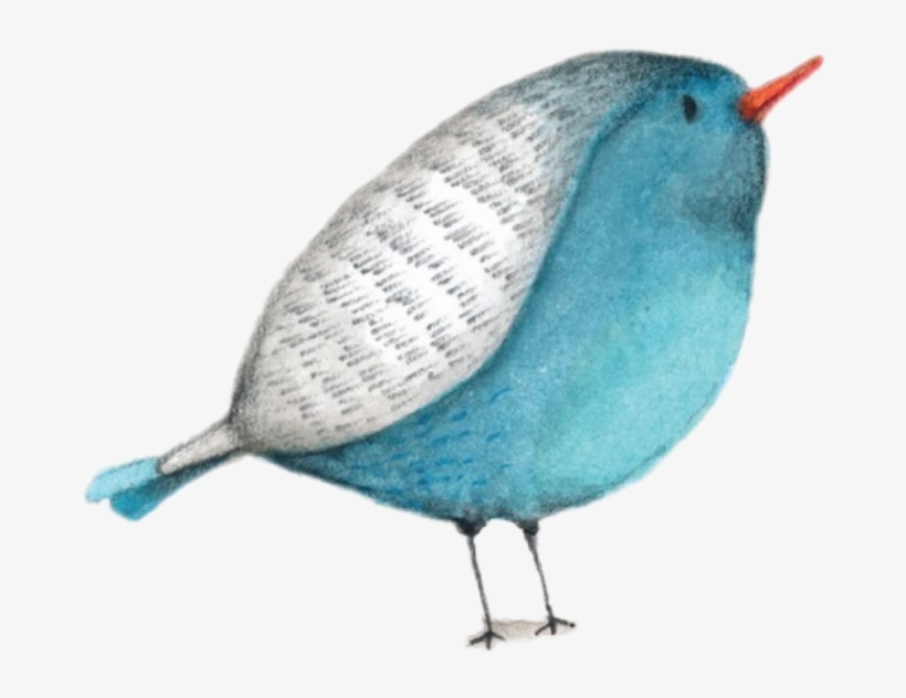 Bird Watercolor Cute Fat Bluebird - Simple Watercolor Bd Card Borders, transparent png #2327322