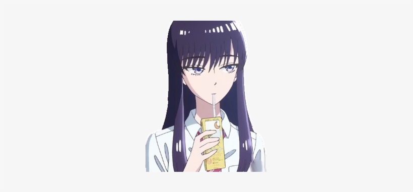 Lien Direct, - Hime Cut, transparent png #2329273