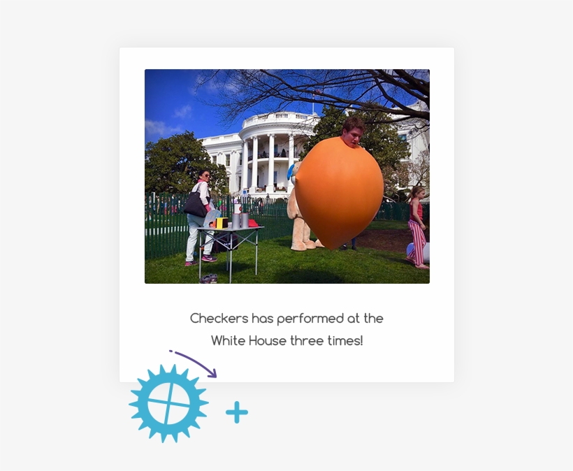 Click The Icons To Learn More - Tree, transparent png #2329552