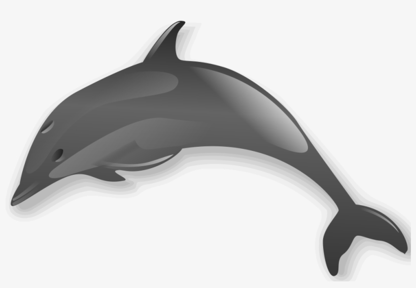 Dolphin 2 - Dolphin Clip Art Transparent, transparent png #2329992