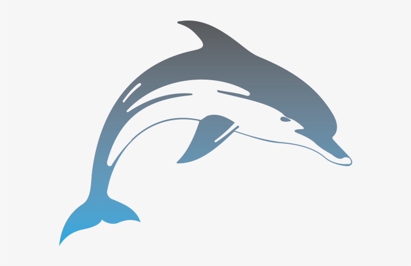 Hawaii Dolphins - Delfin, transparent png #2330328