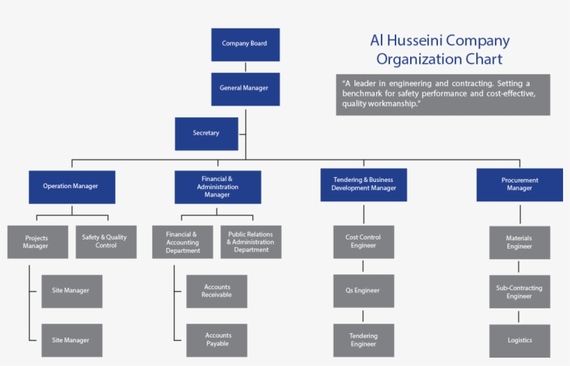 Original - Organizational Chart, transparent png #2330779