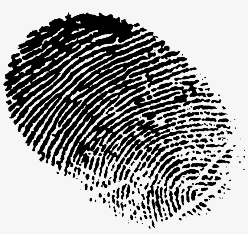 Work - Illustration, transparent png #2331115