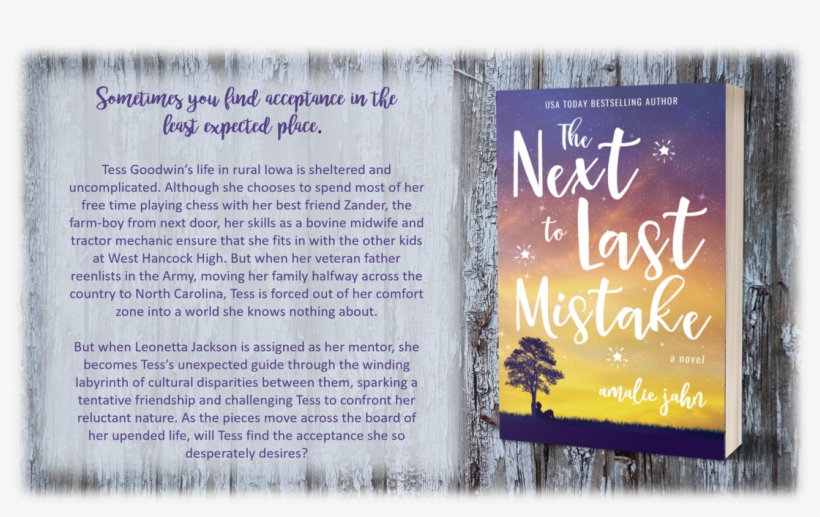 Goodreads Bookshelf Here - The Next To Last Mistake, transparent png #2332316