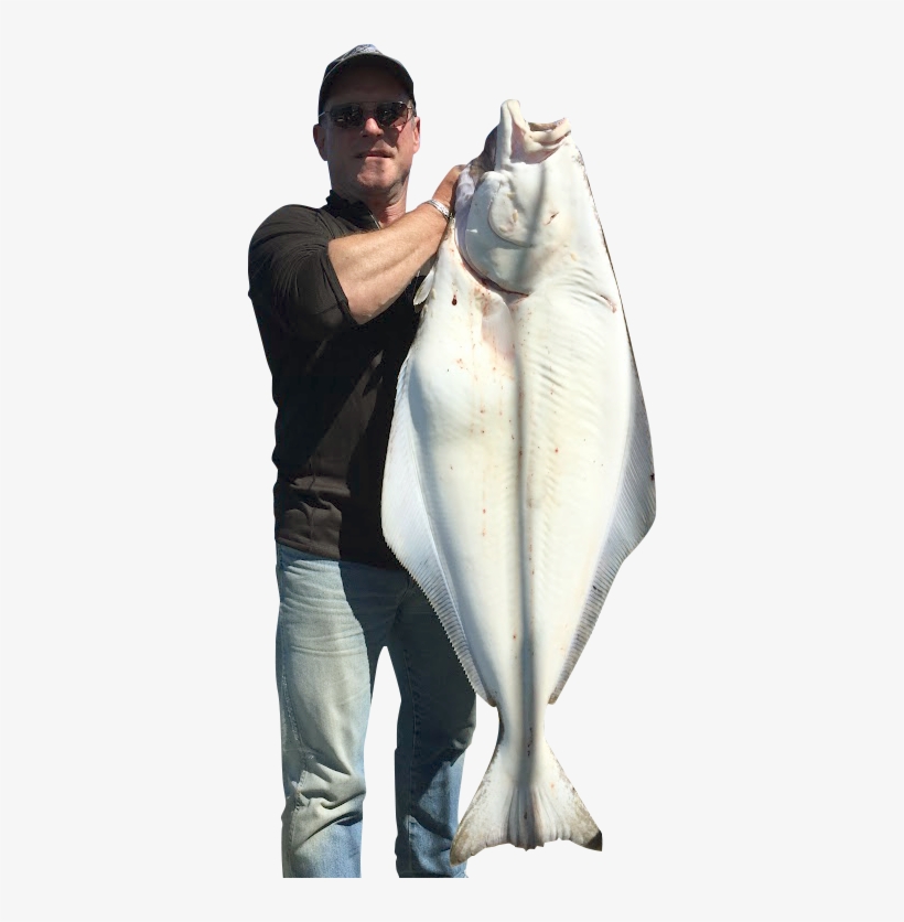 Leave A Reply Cancel Reply - Alaska, transparent png #2335308