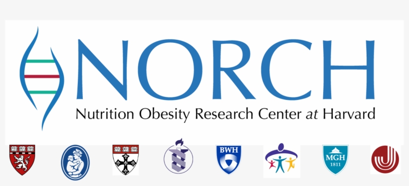 Nutrition Obesity Research Center At Harvard - 40th Birthday Diy Gift, transparent png #2335925