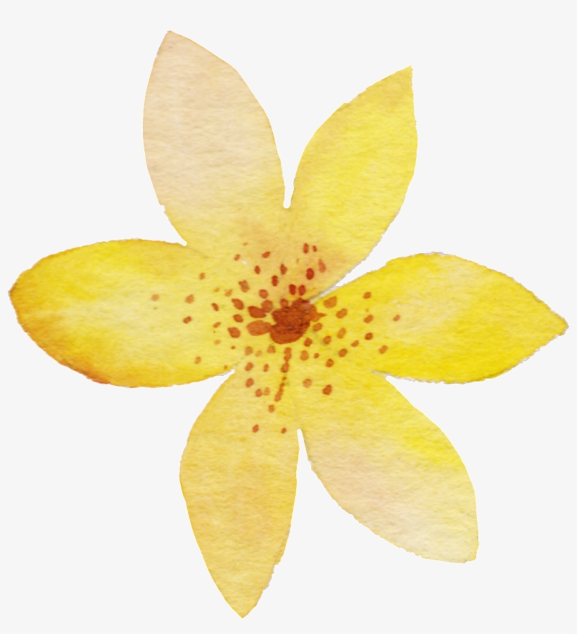 Yellow Watercolor Flower Png Transparent - Yellow, transparent png #2337537