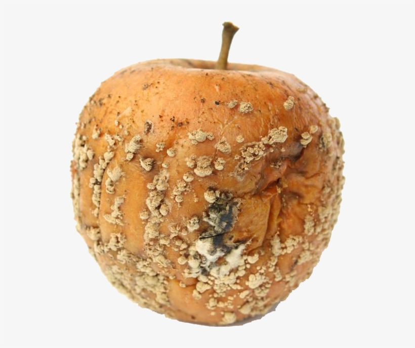 Stock Photography Apple Moldy - Stock Photography, transparent png #2337723