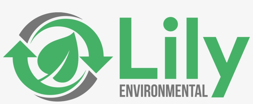 Mold, transparent png #2337740