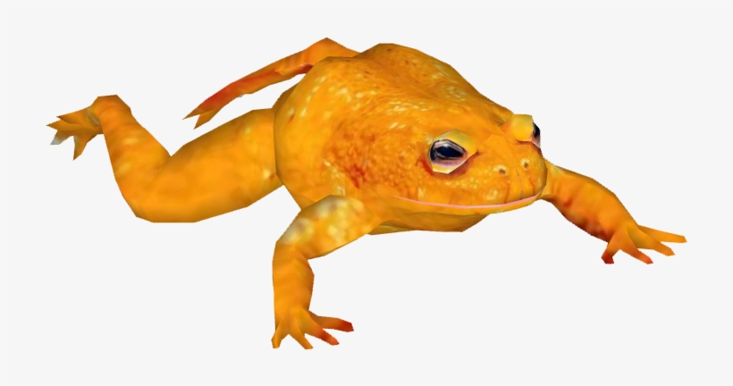 Posted Image - Golden Toad, transparent png #2337929