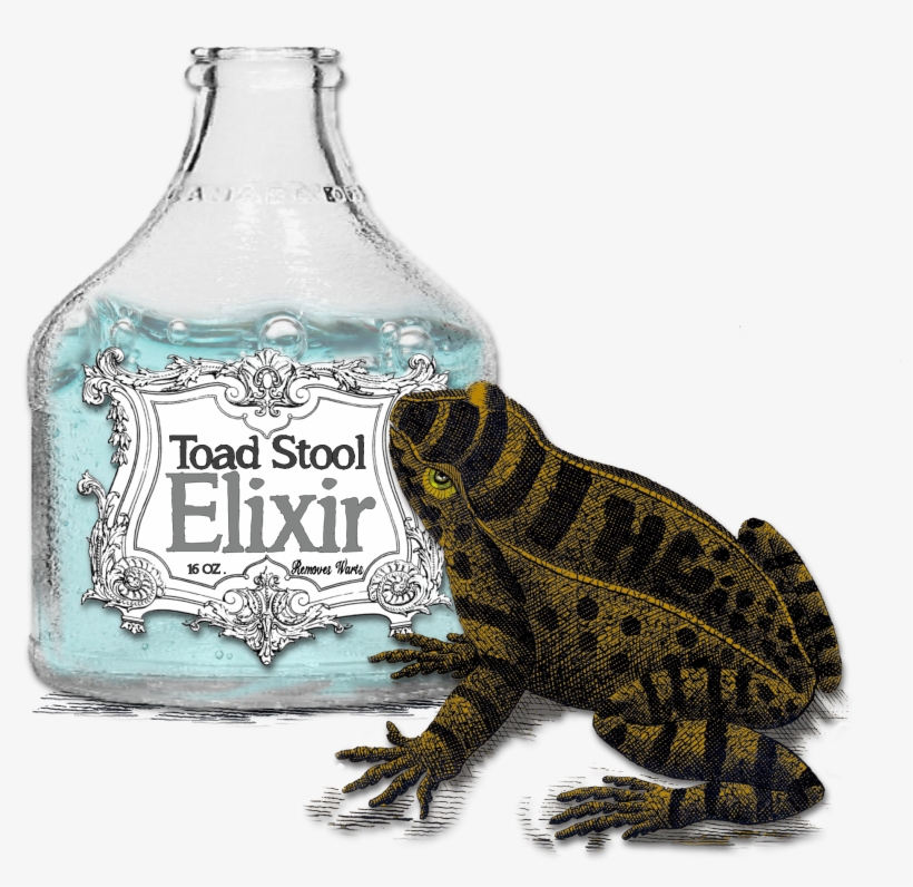 Download File - Oak Toad, transparent png #2337973