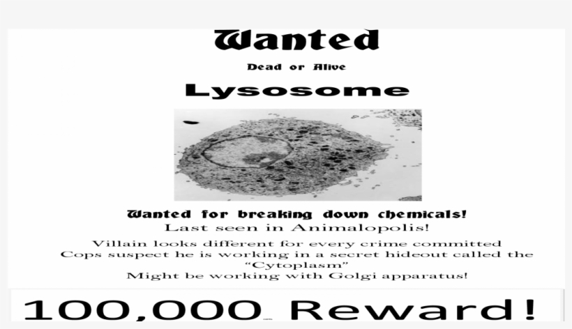 Poster, transparent png #2338040