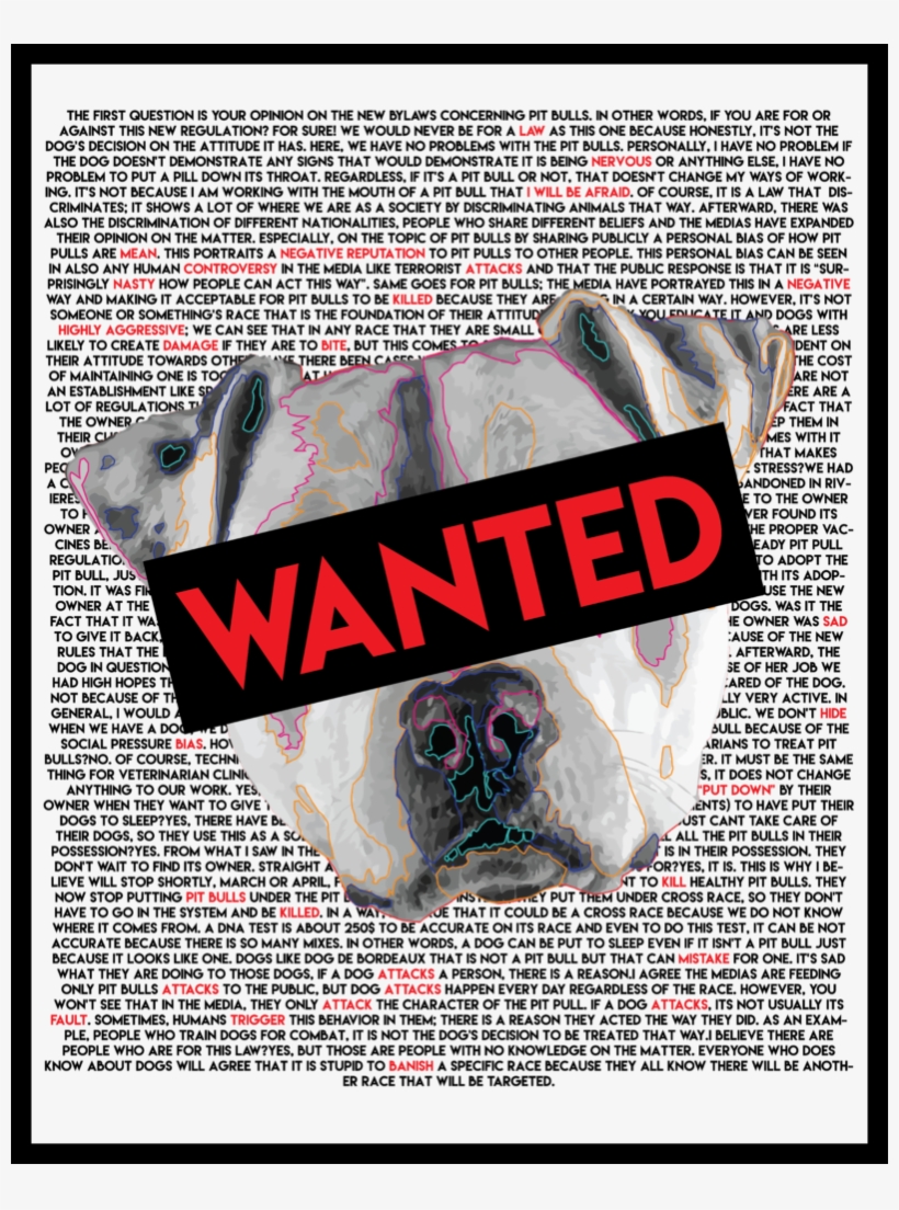 Amanda Usypchuk - Pug, transparent png #2338404