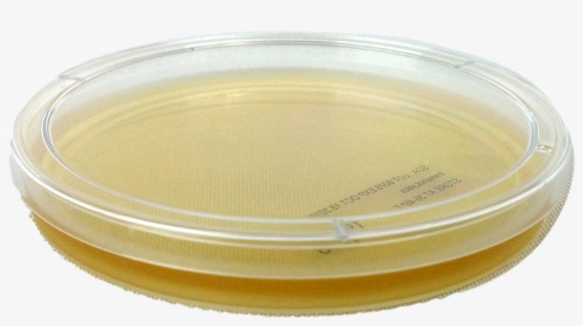 Bangle, transparent png #2338424