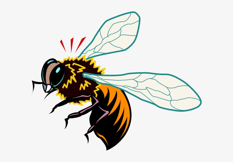 Bee Hive Clip Art - African Honey Bee Clipart, transparent png #2338752