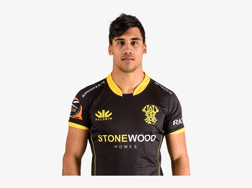 Levi Harmon 2017 Headshot Wellington Lions - Wellington Rugby Football Union, transparent png #2339042