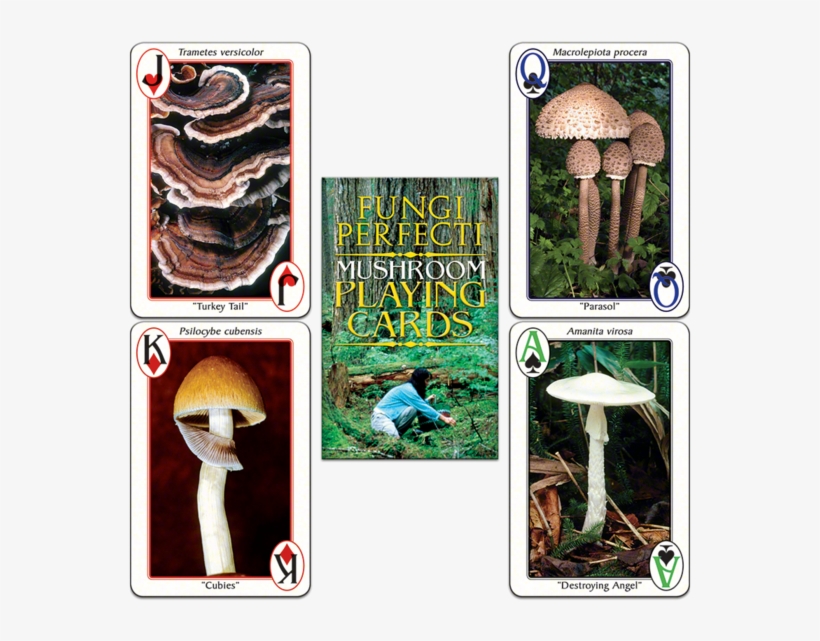 Fp's Original Mushroom Playing Cards - Playing Card, transparent png #2339254