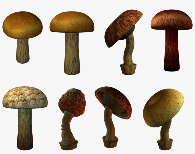 Free Png Mushroom Png Images Transparent - Mushroom, transparent png #2339482