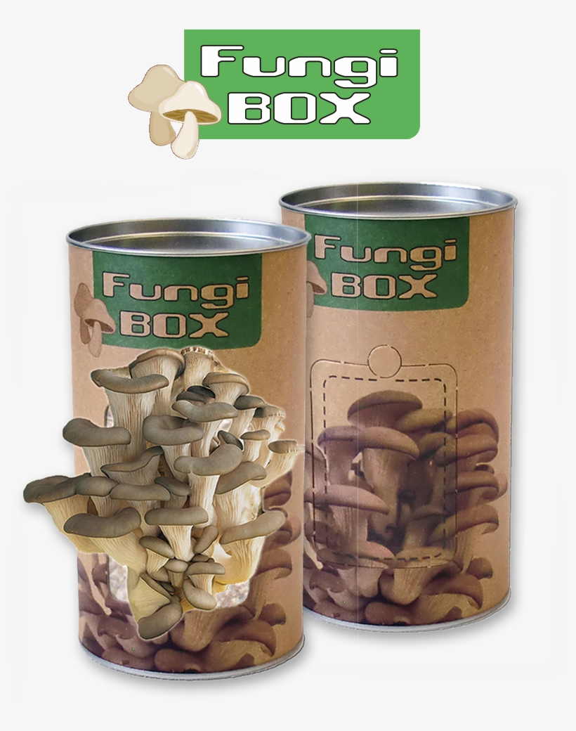 Feel Green Fungi Box - Züchte Deine Eigenen Speisepilze, transparent png #2339656