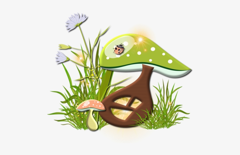 Champignons - Page - Mushroom, transparent png #2339743