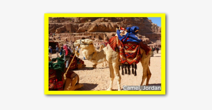 3-part Cards Of The 7 Continents - Petra, transparent png #2339932